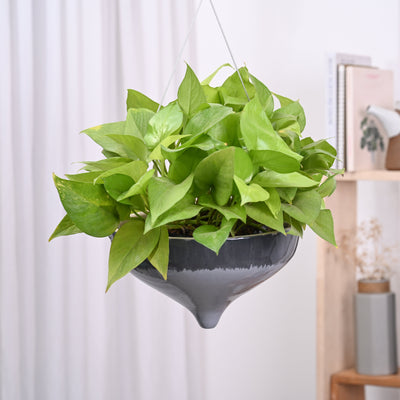 Ceramic Hanging Pot Cosmic Stone