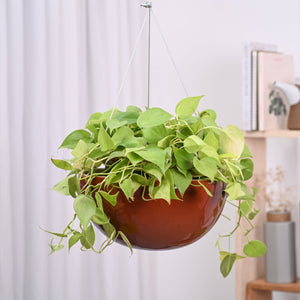Hanging Ceramic Planters Petrichor Smite