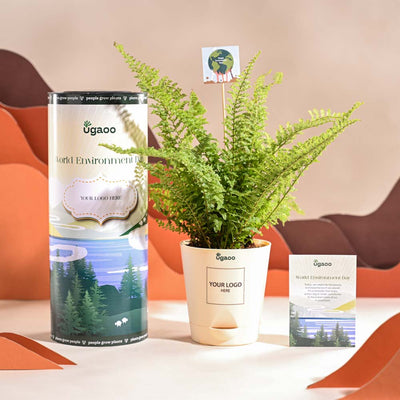 Fern Morpankhi For Environment Day Gifting