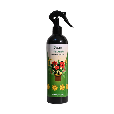 Mealybug Magic Spray for Plant Protection