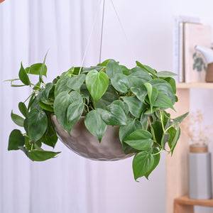 Hanging Ceramic Planters Petrichor Smite