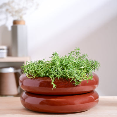 Tiny Kisses Ceramic Planter