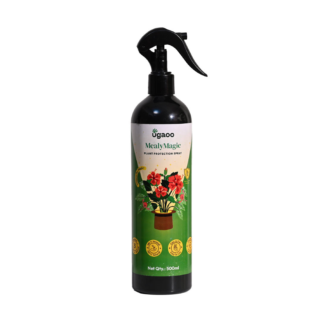 Mealybug Magic Spray for Plant Protection
