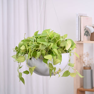 Hanging Ceramic Planters Petrichor Smite