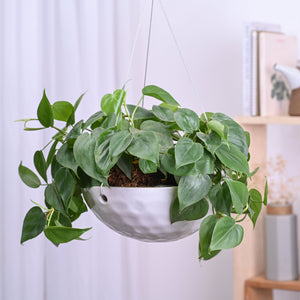 Hanging Ceramic Planters Petrichor Smite
