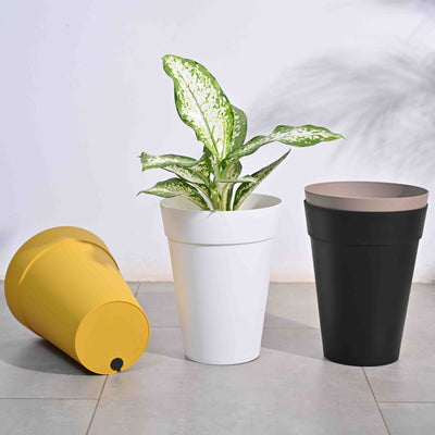 Roma Plastic Planter