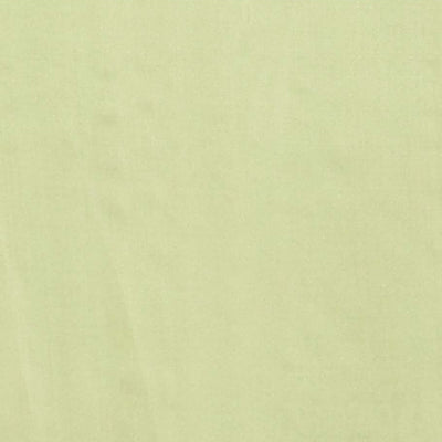 Cream floral vine design with plain border & pallu of argyle design