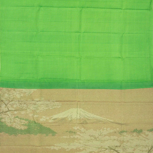 Green Handloom Kanchipuram Silk Saree With Poppyseed Checks