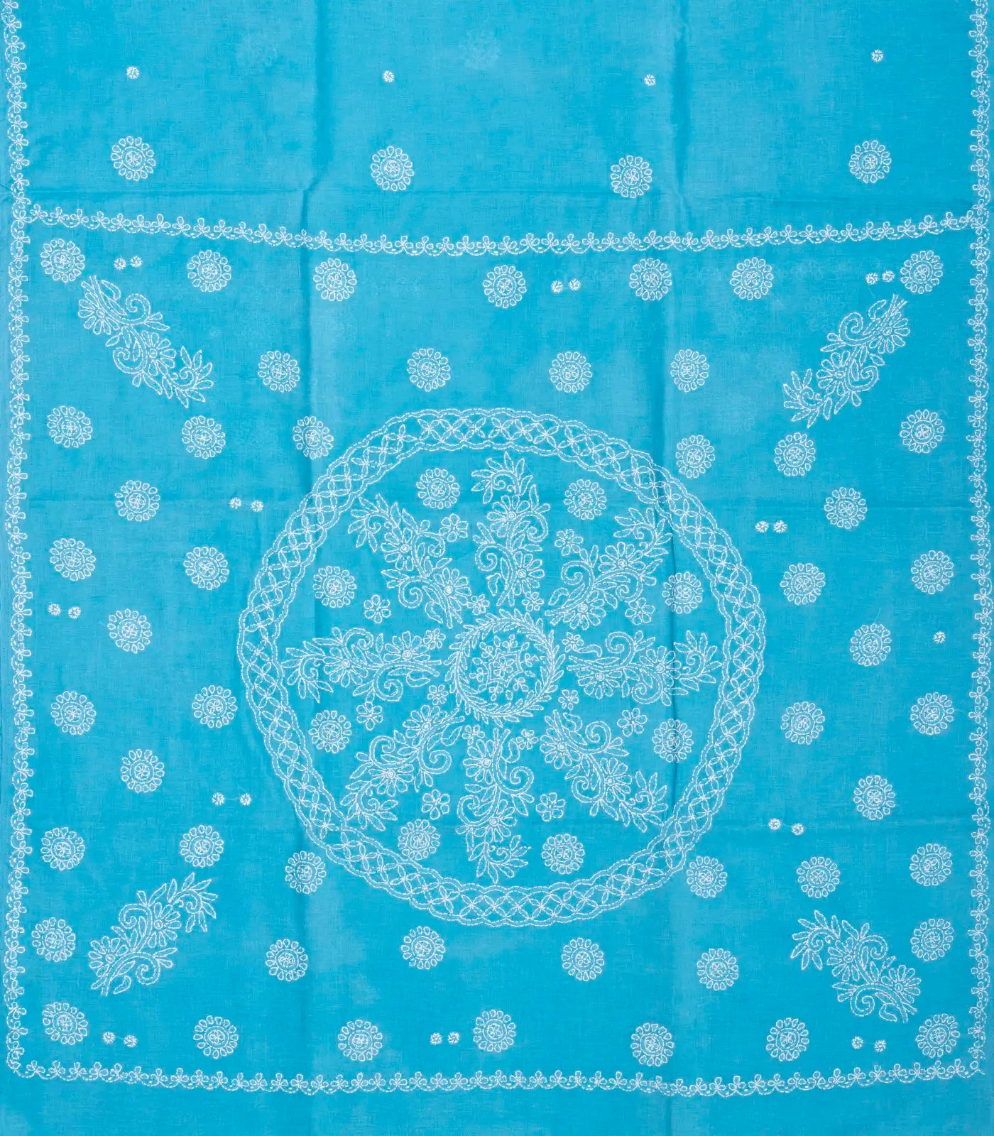 Sky Blue Chikankari Embroidered Cotton Saree With Floral Motifs