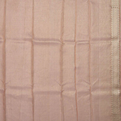 Light Peach Banarasi Tissue Silk Saree With Mango Vine Motifs