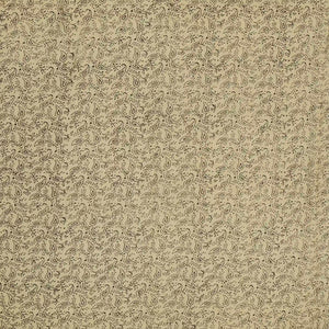 Beige Woven Jaipur Cotton Saree Printed With Floral Motifs