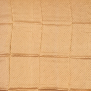 Gold Handloom Banarasi Tissue Silk Saree With Jaal Motifs