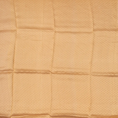 Gold Handloom Banarasi Tissue Silk Saree With Jaal Motifs