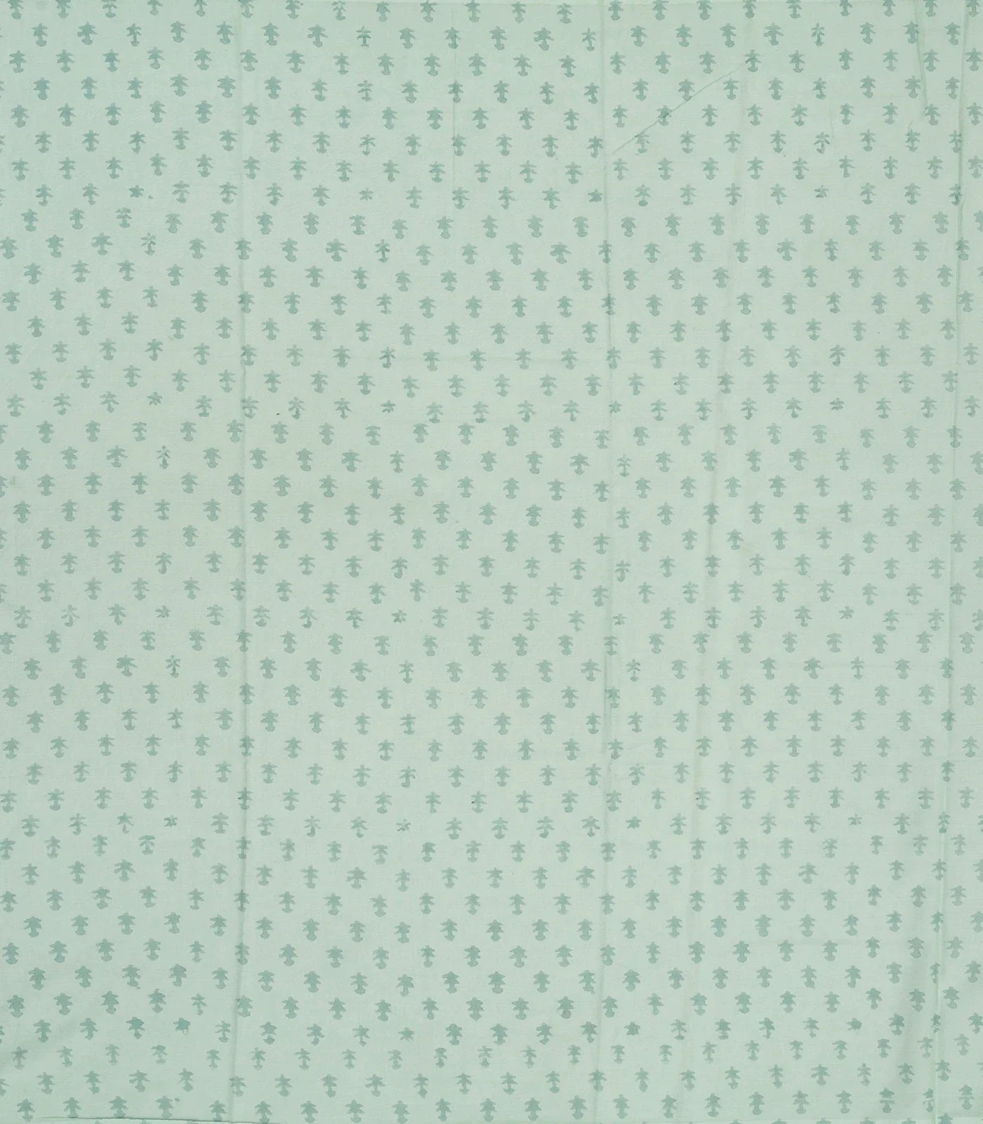 Light Blue Woven Jaipur Cotton Saree With Printed Floral Motifs