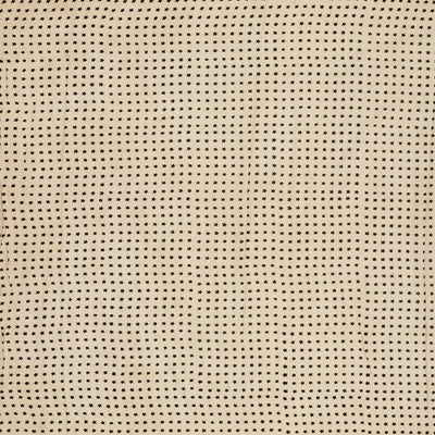 Black Woven Jaipur Cotton Saree Printed With Cream Mango Motifs