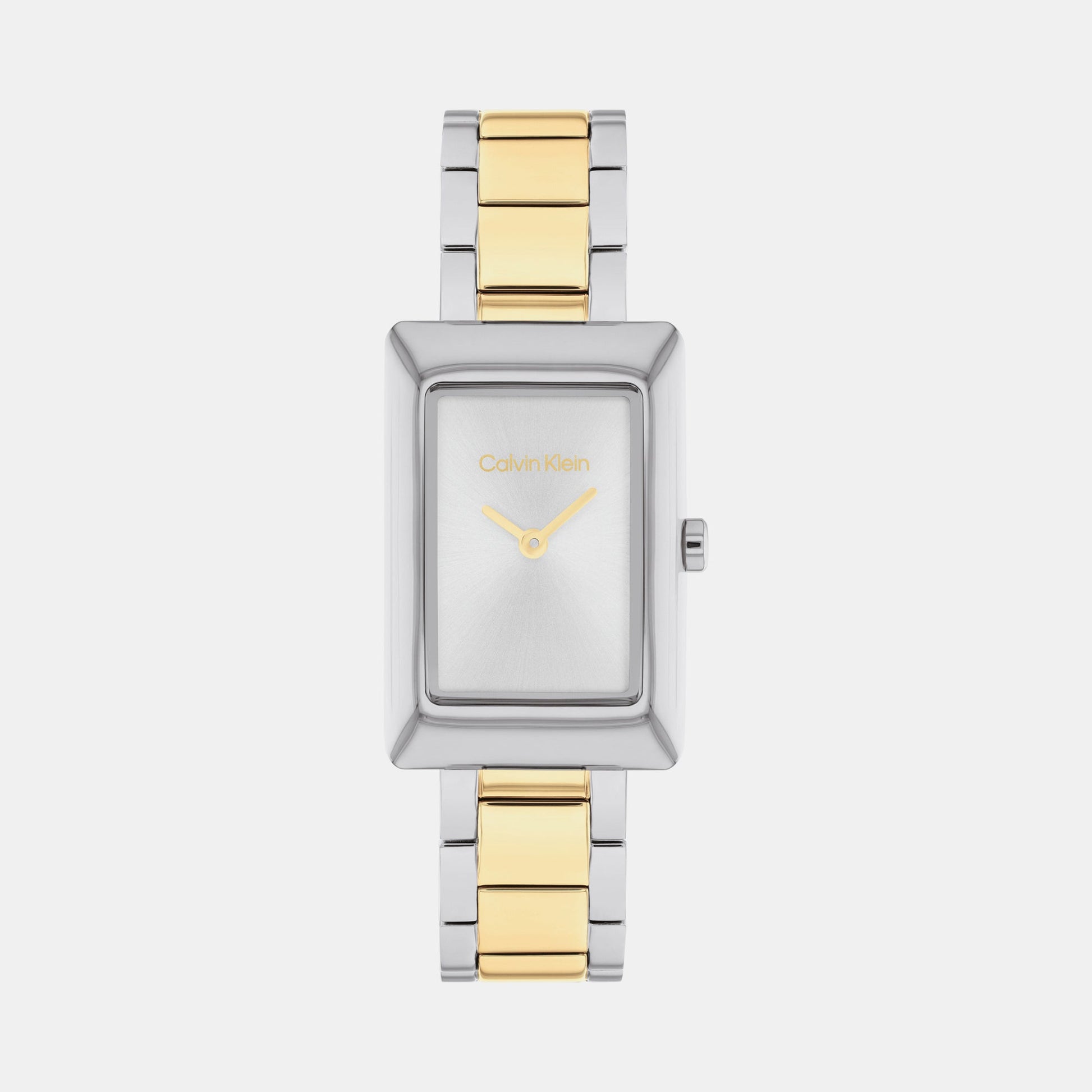 Ck Styled Women Quartz Silver Dial Analog Stainless Steel Watch 25200420