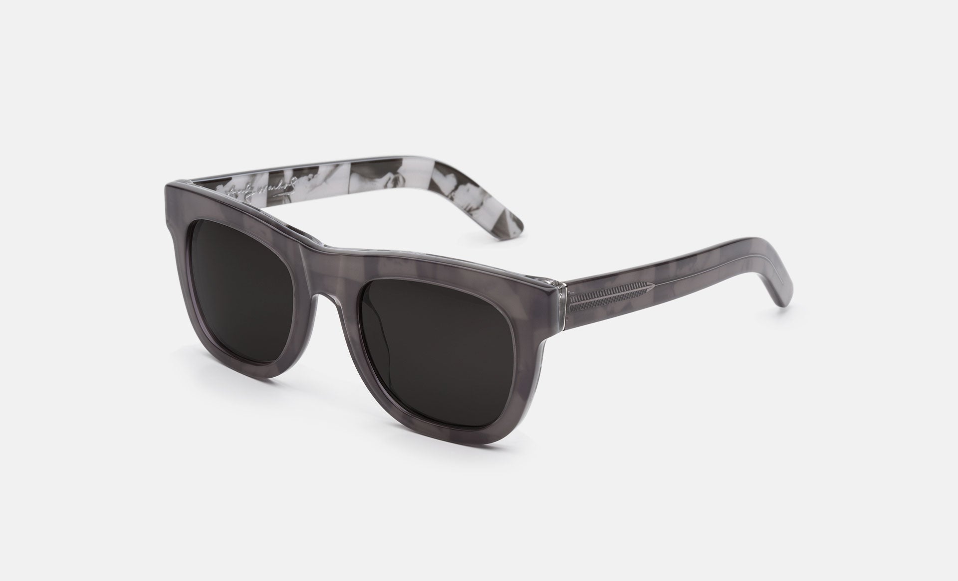 Ciccio Andy Warhol Self-portraits