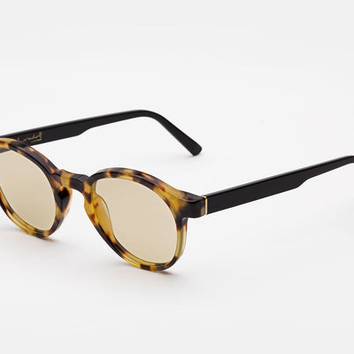 The Warhol Tortoise