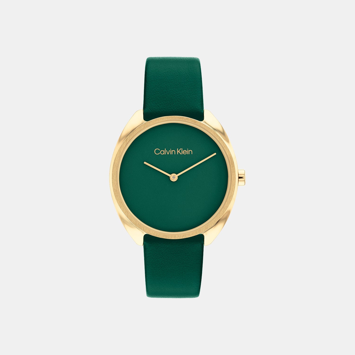 Ck Adorn Women Quartz Green Dial Analog Leather Watch 25200273