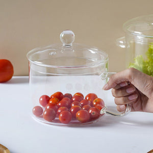 Glass Stock Pot