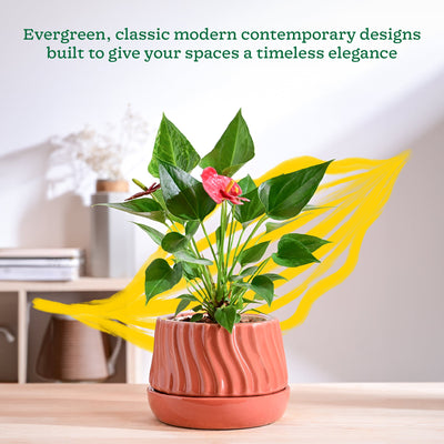 Fallen Angel Ceramic Planter