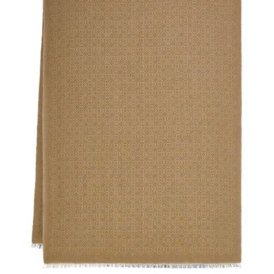 Ferragamo Scarfs