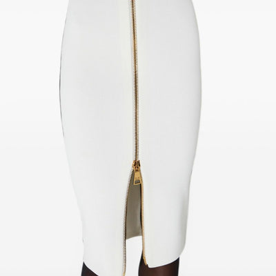Elisabetta Franchi Skirt