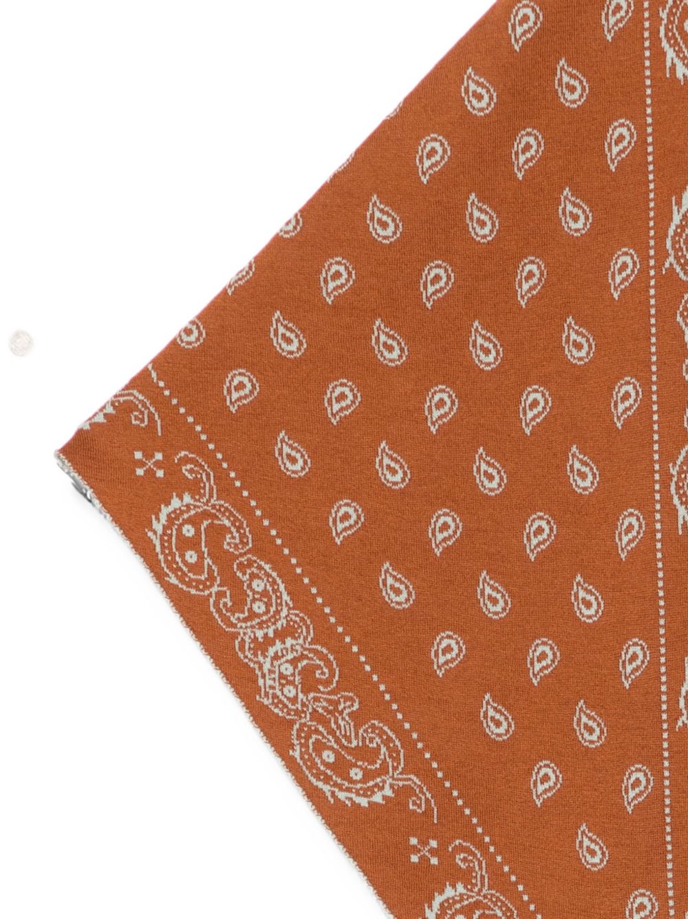 GUEST IN RESIDENCE Scarfs