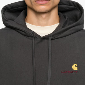 CARHARTT WIP MAIN Sweaters GREY
