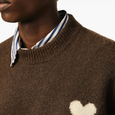 AMI PARIS Sweaters BROWN