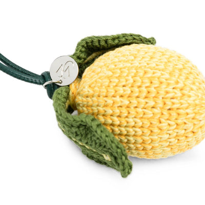 032C J.W.Anderson Accessories YELLOW