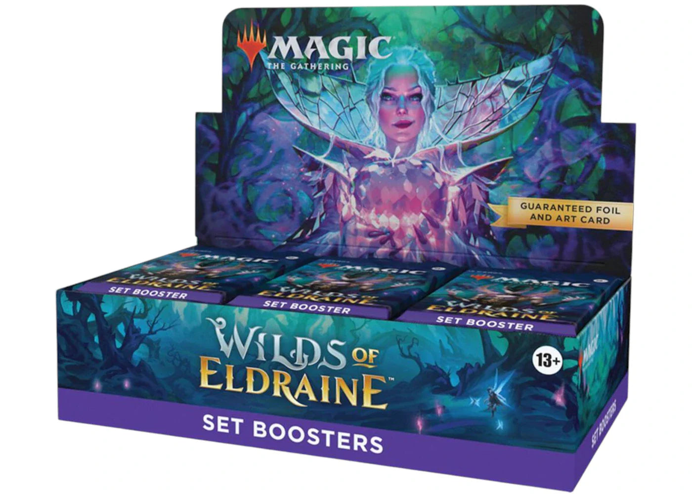2023 Magic: The Gathering Wilds of Eldraine WOE Set Booster Display