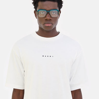 Zamalek Optical Green Fade