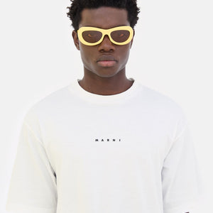 Field Of Rushes Yellow