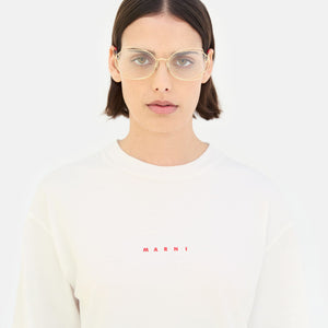 Route Of The Sun Optical Gold