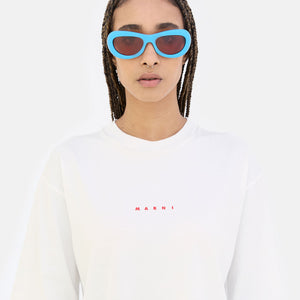 Field Of Rushes Blue