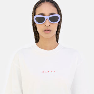 Field Of Rushes Lilac