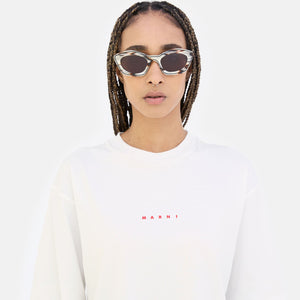 Kea Island Starshell