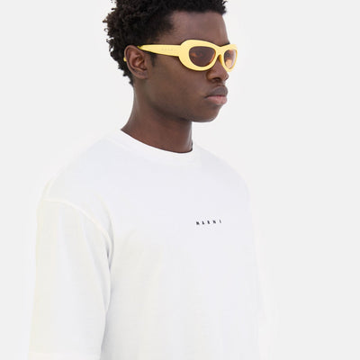 Field Of Rushes Yellow