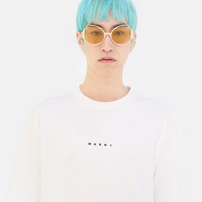 Route Of The Sun Gold