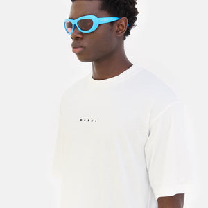 Field Of Rushes Blue