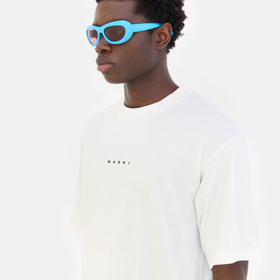 Field Of Rushes Blue