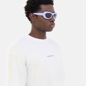 Field Of Rushes Lilac