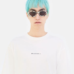 Kea Island Starshell