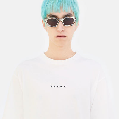 Kea Island Starshell