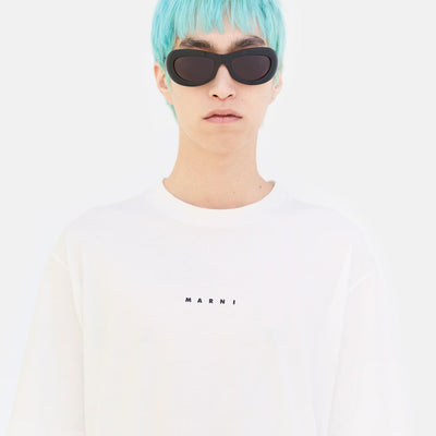 Field Of Rushes Black