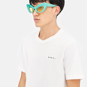 Caelicola Teal
