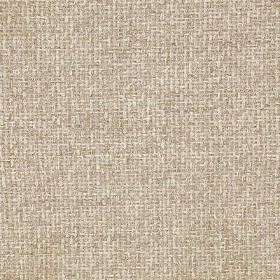 Kaitlin Indoor / Outdoor Dining Chair