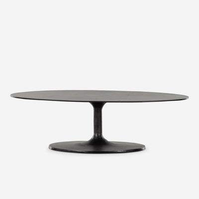 Inga Indoor / Outdoor Oval Coffee Table