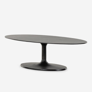 Inga Indoor / Outdoor Oval Coffee Table
